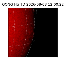 gong - 2026-08-08T12:00:22