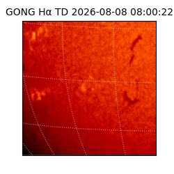 gong - 2026-08-08T08:00:22