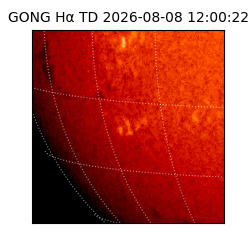 gong - 2026-08-08T12:00:22