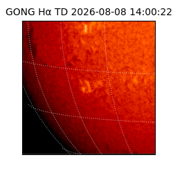 gong - 2026-08-08T14:00:22