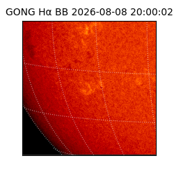 gong - 2026-08-08T20:00:02