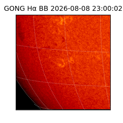 gong - 2026-08-08T23:00:02