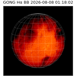 gong - 2026-08-08T01:18:02