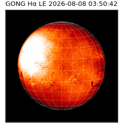 gong - 2026-08-08T03:50:42
