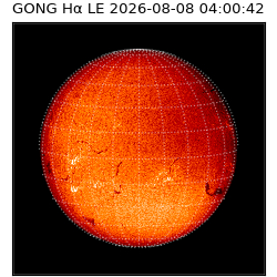 gong - 2026-08-08T04:00:42