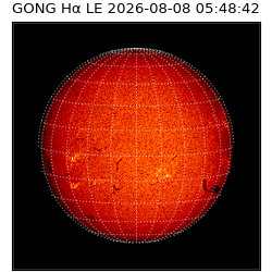 gong - 2026-08-08T05:48:42