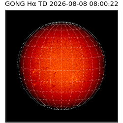 gong - 2026-08-08T08:00:22