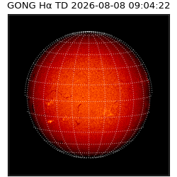 gong - 2026-08-08T09:04:22