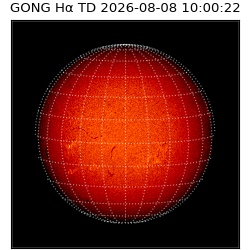 gong - 2026-08-08T10:00:22