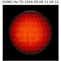 gong - 2026-08-08T11:00:22