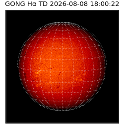 gong - 2026-08-08T18:00:22