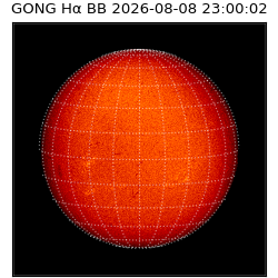 gong - 2026-08-08T23:00:02