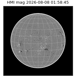 shmi - 2026-08-08T01:58:45