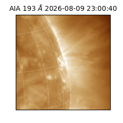 saia - 2026-08-09T23:00:40.842000