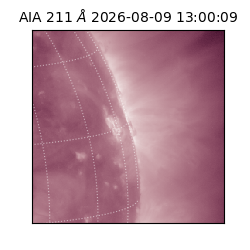 saia - 2026-08-09T13:00:09.621000