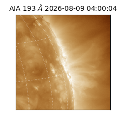 saia - 2026-08-09T04:00:04.842000