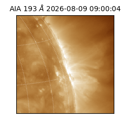 saia - 2026-08-09T09:00:04.842000