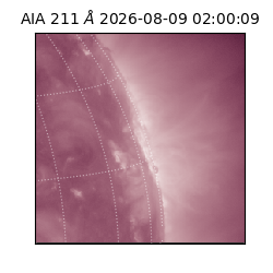 saia - 2026-08-09T02:00:09.624000