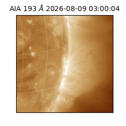 saia - 2026-08-09T03:00:04.842000