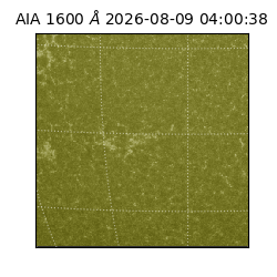 saia - 2026-08-09T04:00:38.123000
