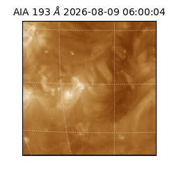 saia - 2026-08-09T06:00:04.842000
