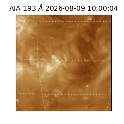 saia - 2026-08-09T10:00:04.842000