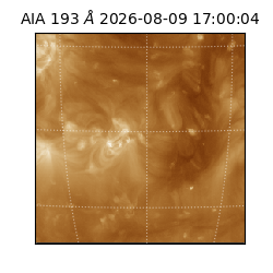 saia - 2026-08-09T17:00:04.842000