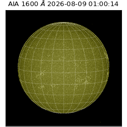 saia - 2026-08-09T01:00:14.123000