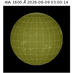 saia - 2026-08-09T03:00:14.123000