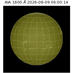 saia - 2026-08-09T06:00:14.123000