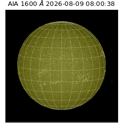 saia - 2026-08-09T08:00:38.124000
