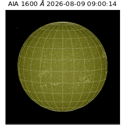 saia - 2026-08-09T09:00:14.124000