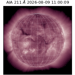 saia - 2026-08-09T11:00:09.624000