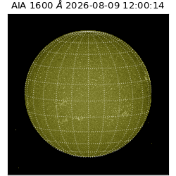 saia - 2026-08-09T12:00:14.123000