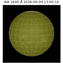 saia - 2026-08-09T13:00:14.123000