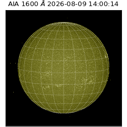 saia - 2026-08-09T14:00:14.130000