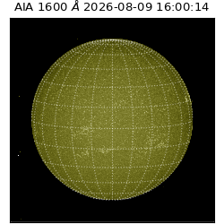 saia - 2026-08-09T16:00:14.132000