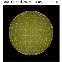 saia - 2026-08-09T18:00:14.123000