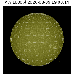 saia - 2026-08-09T19:00:14.123000