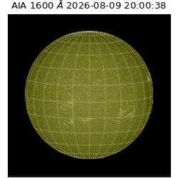 saia - 2026-08-09T20:00:38.123000