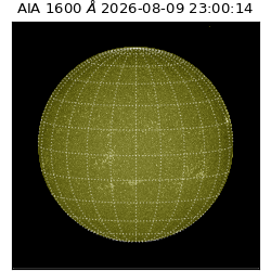 saia - 2026-08-09T23:00:14.124000