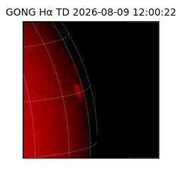 gong - 2026-08-09T12:00:22