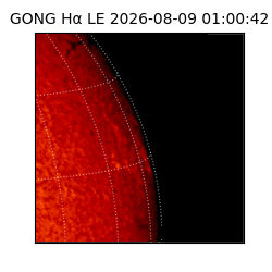 gong - 2026-08-09T01:00:42