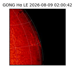 gong - 2026-08-09T02:00:42