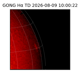 gong - 2026-08-09T10:00:22