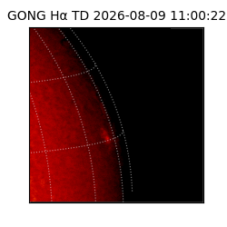 gong - 2026-08-09T11:00:22