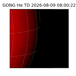 gong - 2026-08-09T08:00:22