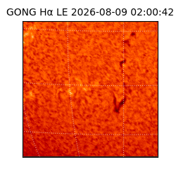 gong - 2026-08-09T02:00:42