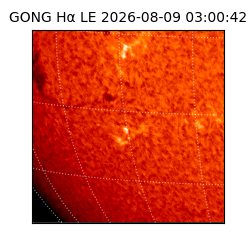 gong - 2026-08-09T03:00:42