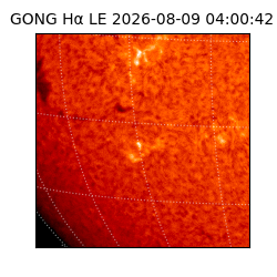 gong - 2026-08-09T04:00:42
